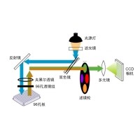 什么是熒光定量PCR、數(shù)字PCR？