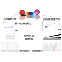 線性漸變?yōu)V光片是什么？有何特點？