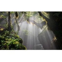 光的干涉、衍射、折射、反射、散射